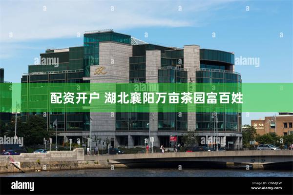 配资开户 湖北襄阳万亩茶园富百姓