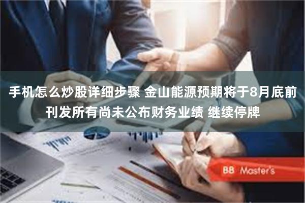 手机怎么炒股详细步骤 金山能源预期将于8月底前刊发所有尚未公布财务业绩 继续停牌