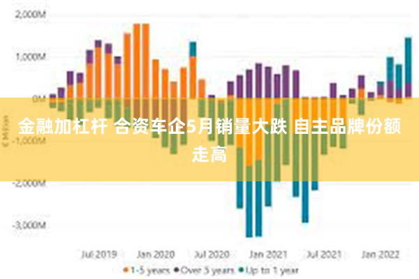 金融加杠杆 合资车企5月销量大跌 自主品牌份额走高
