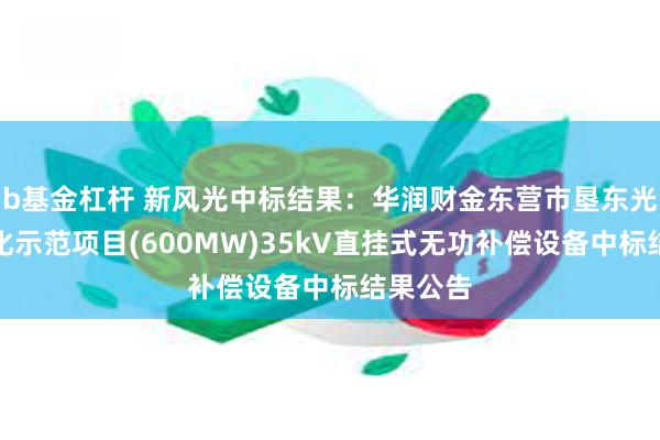 b基金杠杆 新风光中标结果：华润财金东营市垦东光储一体化示范项目(600MW)35kV直挂式无功补偿设备中标结果公告