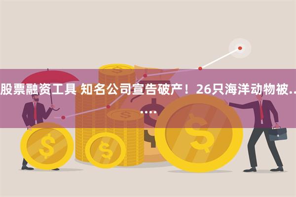 股票融资工具 知名公司宣告破产！26只海洋动物被......