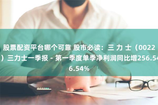 股票配资平台哪个可靠 股市必读：三 力 士（002224）三力士一季报 - 第一季度单季净利润同比增256.54%