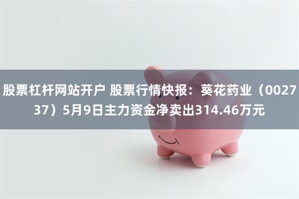 股票杠杆网站开户 股票行情快报：葵花药业（002737）5月9日主力资金净卖出314.46万元