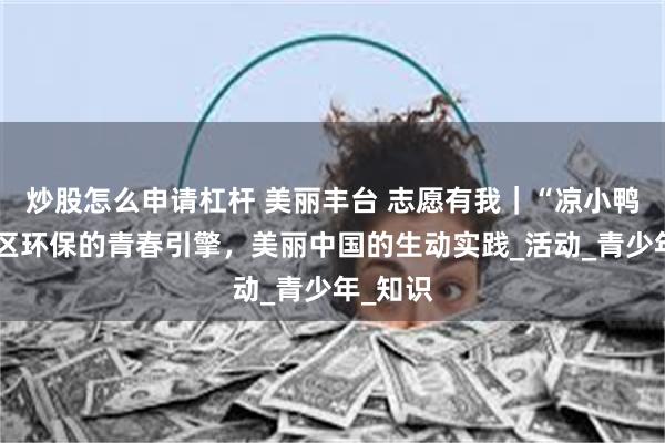 炒股怎么申请杠杆 美丽丰台 志愿有我｜“凉小鸭”：社区环保的青春引擎，美丽中国的生动实践_活动_青少年_知识